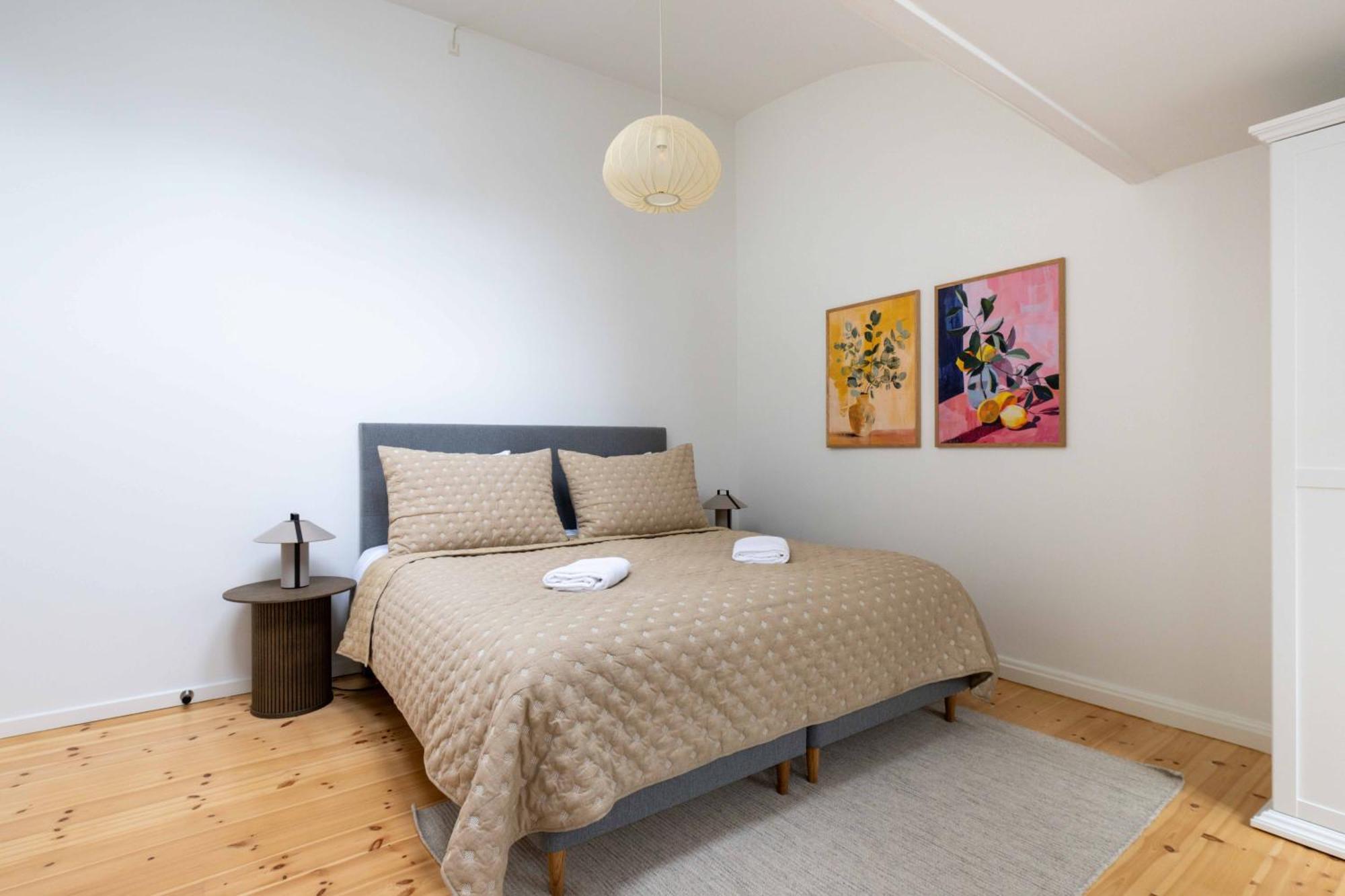 Spacious Norrebro For Groups & Families Apartment Copenhagen